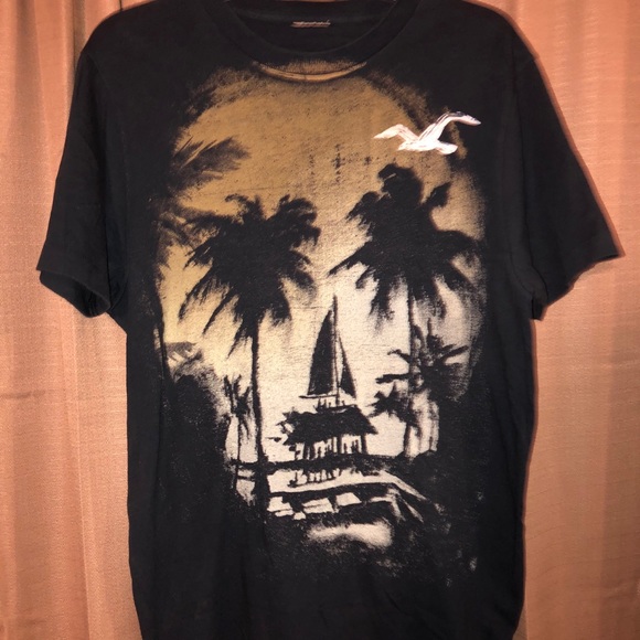 Hollister Other - Hollister graphic tee